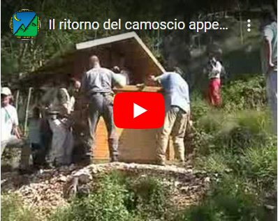 collegati alla piattaforma youtube per vedere il video 
              del rilascio