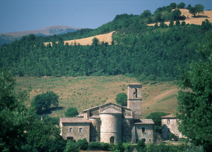 immagine standard