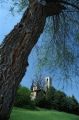 thumb_1652.jpg