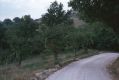 thumb_2116.jpg