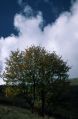 thumb_2832.jpg
