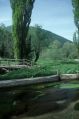 thumb_3411.jpg