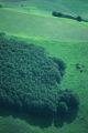 thumb_3634.jpg