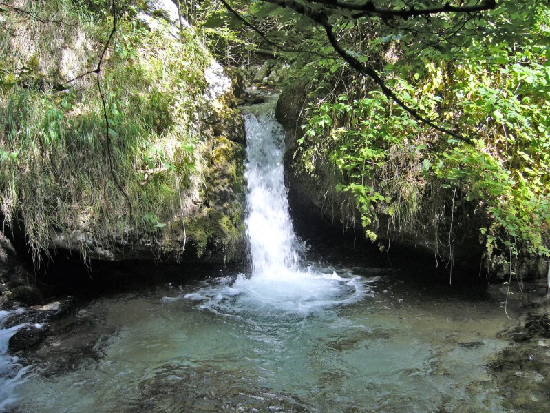 Ruscello a primavera