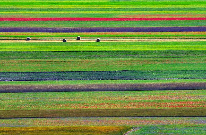 Linee orizzontali
