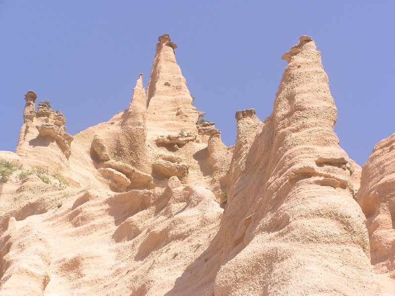 Lame Rosse