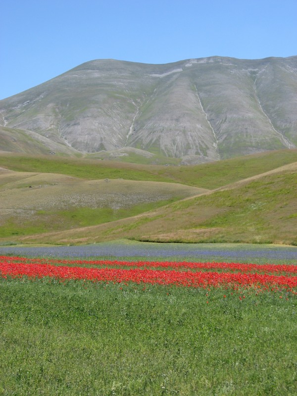 Quarto San Lorenzo dal Pian Perduto