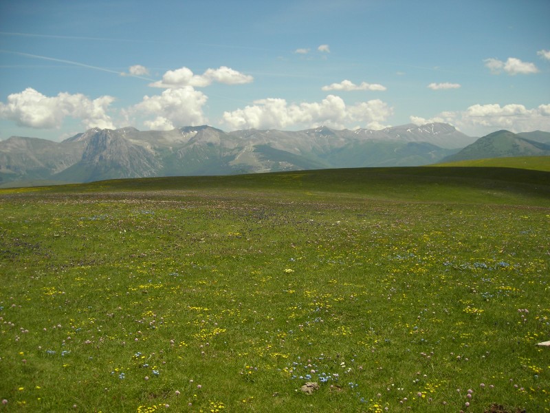 Dal Monte Fema ai Sibillini