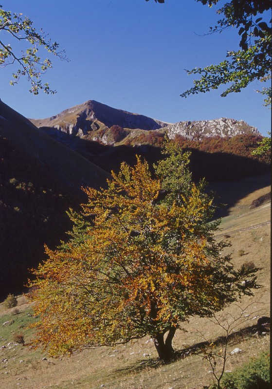 Autunno in Valle Stretta