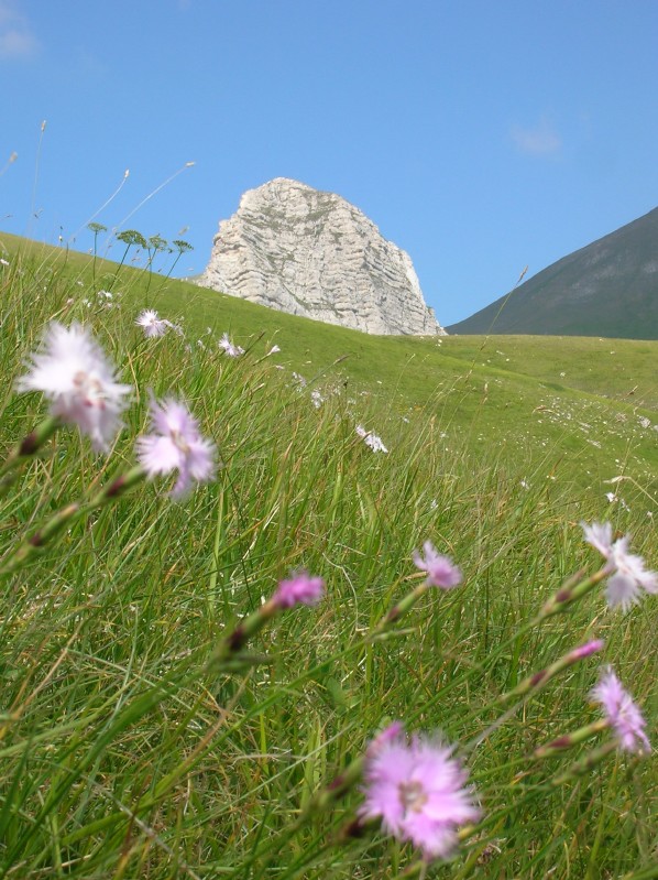 Gita d'estate