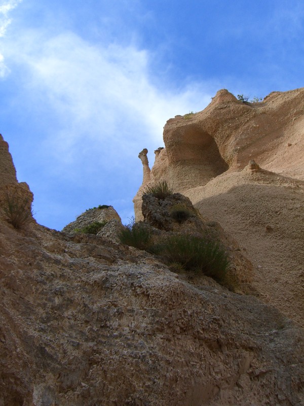 Lame Rosse