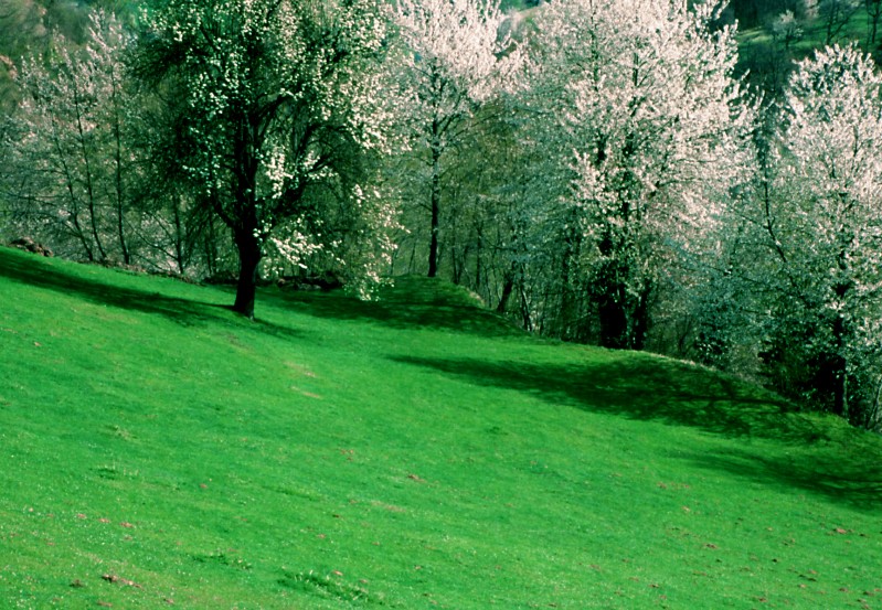 Da Montemonaco a Montefortino