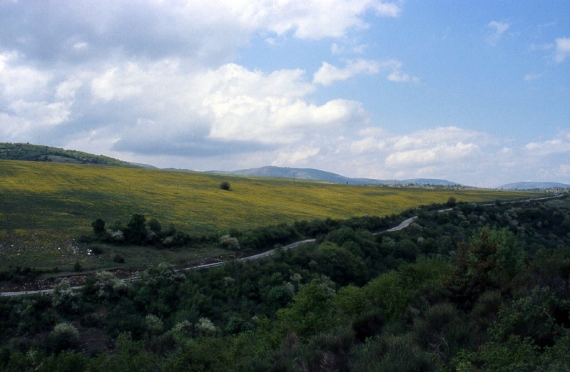 (Prati fioriti vicino il santuario di Macereto