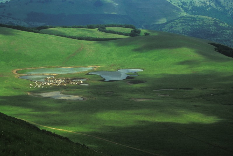 Farche Canapine - I Pantani