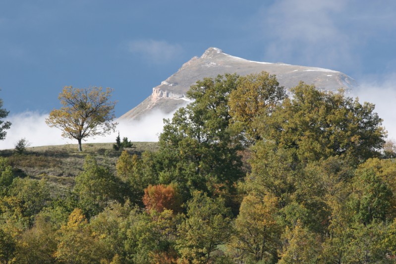 La Sibilla