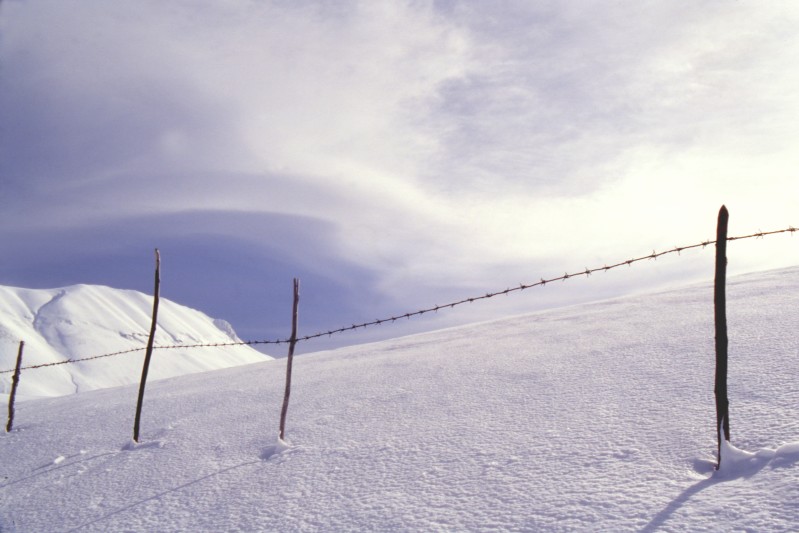 Pascolo d'inverno
