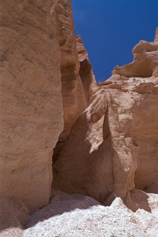  La natura � arte