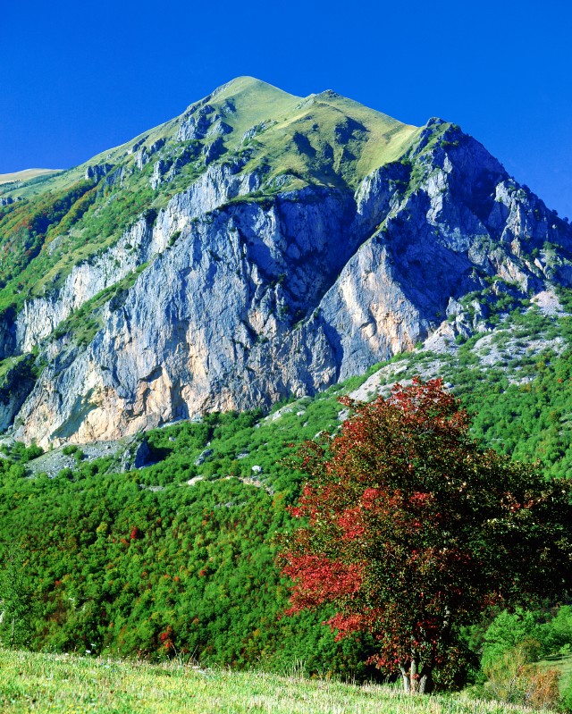 Acero rosso
