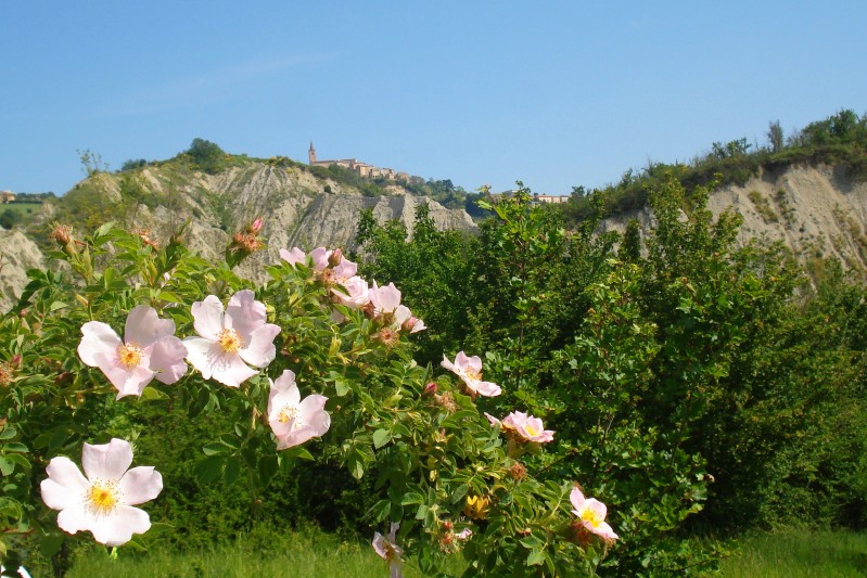  LA NATURA SI SVEGLIA