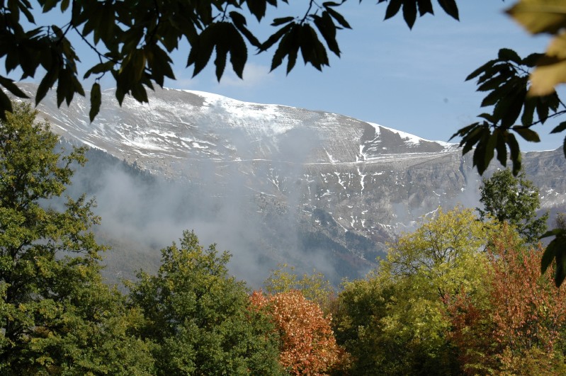 Neve