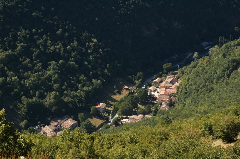 Rapegna dall'alto