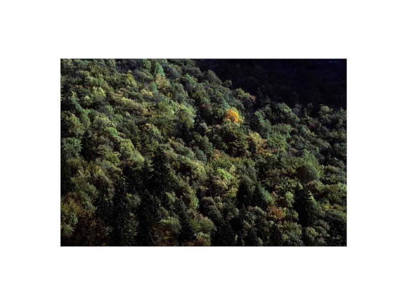 Autunno