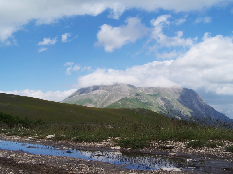 riflessi vettoriali