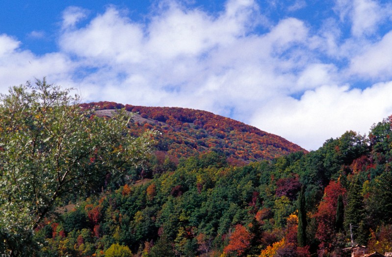 Autunno