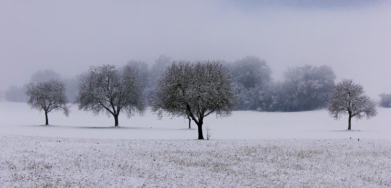 Campi di Norcia