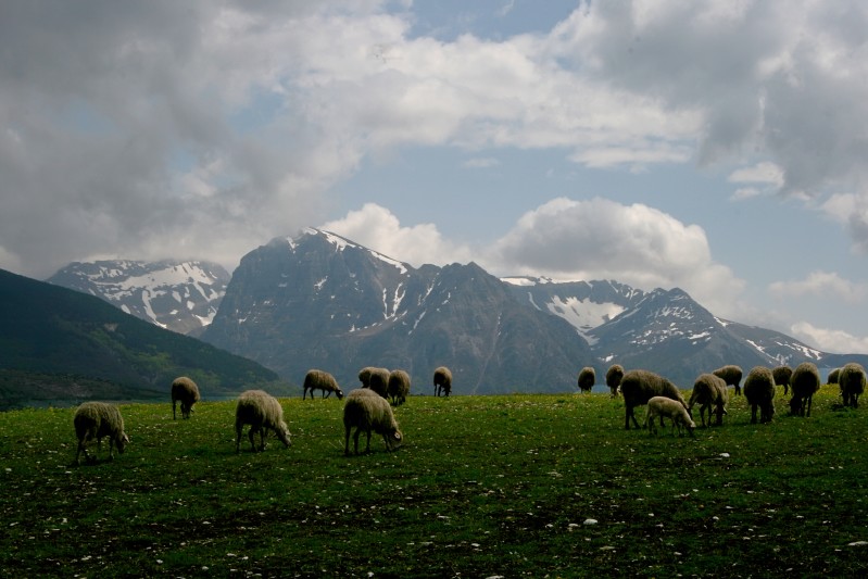 Monte Bove