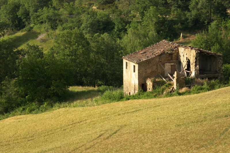Rustico abbandonato