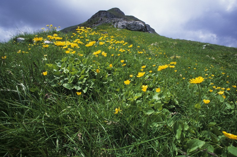 La Sibilla in primavera