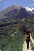 route landscape