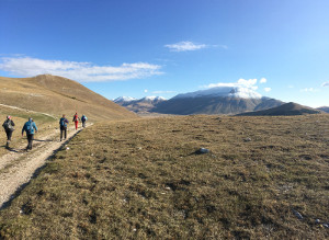 route landscape