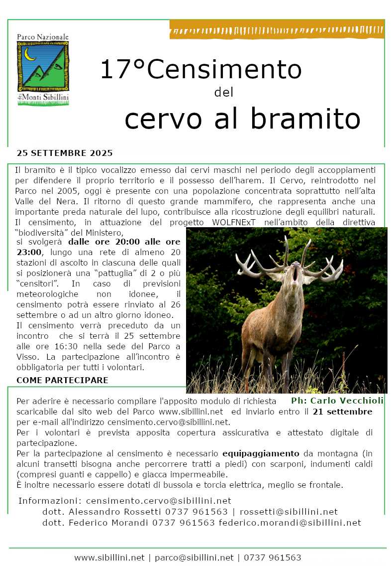 Censimento autunnale del cervo al bramito del 25.09.2025
      Il bramito è il tipico vocalizzo emesso dai cervi maschi nel periodo degli 
      accoppiamenti per difendere il proprio territorio e il possesso 
      dell’harem. Il Cervo, reintrodotto nel Parco nel 2005, oggi è presente 
      con una popolazione  concentrata soprattutto nell’alta Valle del Nera. 
      Il ritorno di questo grande mammifero, che rappresenta anche una 
      importante preda naturale del lupo, contribuisce alla ricostruzione degli 
      equilibri naturali. 
      Il censimento, in attuazione del progetto WOLFNExT nell’ambito della 
      direttiva biodiversità del Ministero dell’Ambiente e della Sicurezza 
      Energetica, si svolgerà dalle ore 20:00 alle ore 23:00, lungo una rete di 
      almeno 20 stazioni di ascolto in ciascuna delle quali si posizionerà una 
      pattuglia di 2 o più censitori. 
      In caso di previsioni meteorologiche non idonee, il censimento potrà 
      essere rinviato al 26 settembre o ad un altro giorno idoneo.
      Il censimento verrà preceduto da un incontro  che si terrà il 25 
      settembre alle ore 16:30 nella sede del Parco a Visso.
      La partecipazione all’incontro è obbligatoria per i volontari. 
      COME PARTECIPARE
      Per aderire è necessario compilare l'apposito modulo di richiesta 
      scaricabile dal sito web del Parco www.sibillini.net  ed inviarlo entro 
      il 21 settembre per e-mail all'indirizzo censimento.cervo@sibillini.net. 
      Per i volontari è prevista apposita copertura assicurativa e attestato 
      digitale di partecipazione. 
      Per la partecipazione al censimento è necessario equipaggiamento da 
      montagna (in alcuni transetti bisogna anche percorrere tratti a piedi) 
      con scarponi, indumenti caldi (compresi guanti e cappello) e giacca 
      impermeabile. 
      È inoltre necessario essere dotati di bussola e torcia elettrica, meglio 
      se frontale. 
      Informazioni: censimento.cervo@sibillini.net 
	    dott. Alessandro Rossetti 0737 961563 | rossetti@sibillini.net
	    dott. Federico Morandi 0737 961563 | federico.morandi@sibillini.net